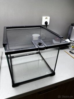 Terarium Repti Planet - 2