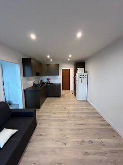 Prenájom 1,5 izbového bytu - 2