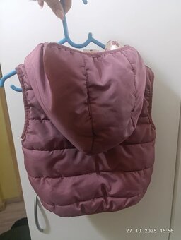 Vesta paw patrol - 2