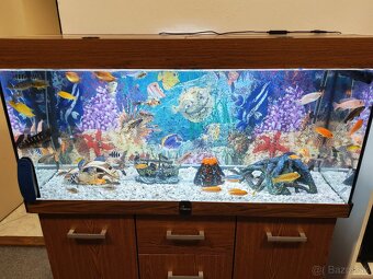 Predám akvárium - 2
