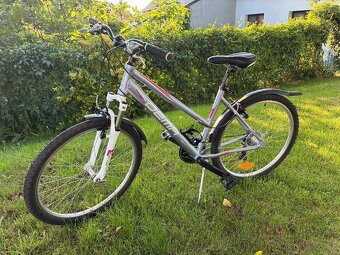 Dema damsky bicykel Pegas 26 - 2
