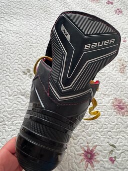 Bauer - 2