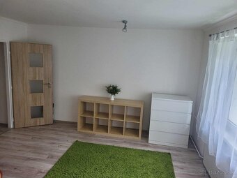 Prenájom veľkého 1-izbového bytu v širšom centre - 2