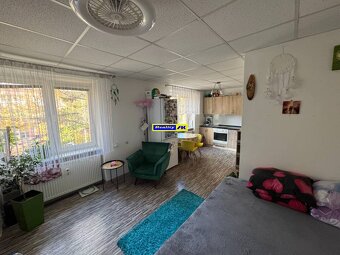 jednoizbový zrekonštruovaný byt v širšom centre mesta - 2