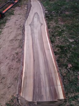 Ponúkam Vám porez kmeňov strov, guľatiny, nadrozmerných kmeň - 2