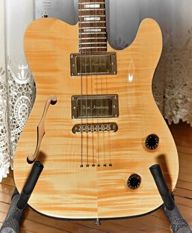 Telecaster Jazzic - handmade CROW - 2