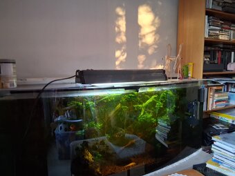 Predám  450 l spoločenské akvárium. Ušetríte minimalne 500 € - 2