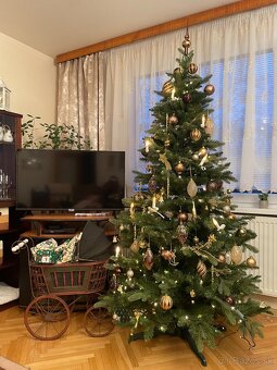 Male anticke kociariky - 2