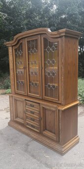 Celomasivní vitrína - knihovna - 2