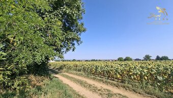 Pozemok na výstavbu rodinného domu - 2