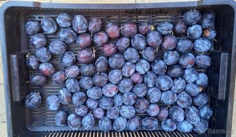 domáce džemy marhuľový, černicový, malinový, slivkový - 2