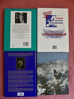 Tajomstvá duše/Sydney 2000/TATRY/Chodníkom v kosodrevine - 2