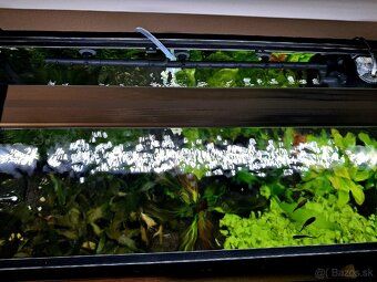 Kompletné akvárium 60L s CO₂ + LED - 2
