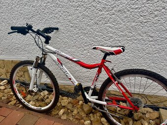 Damsky bicykel - 2