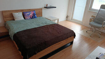 Prenájom 1 izbového bytu - 2