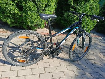 Specialized - 2