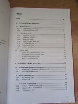 Manažment sociálnych rizík - Katarína Kampová, Katarína Holl - 2