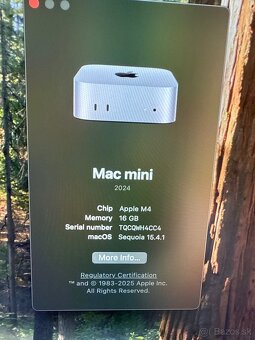 predam mac mini m4 - 2