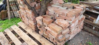 Tehly z buračky - 2