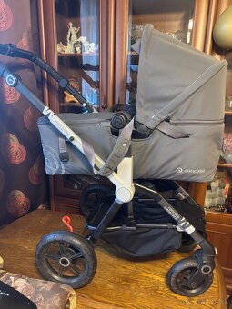 Kocik Concord Wanderer - 2
