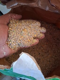 Predám zmesku pre nosnice sliepky 40kg - 2