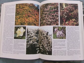 Jar, Leto, Jeseň, Zima v záhrade - komplet. - 2