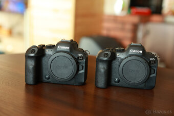 Canon EOS R6 Mark II - 2