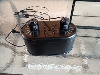 Terarium - 2
