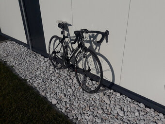 TREK MADONE 5.2 - 2