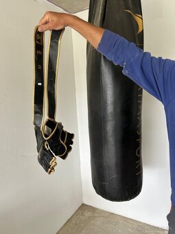 Boxovaci mech - 2