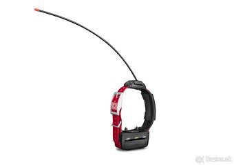 Kúpim obojok garmin gps tt15 mini, t5 mini. - 2