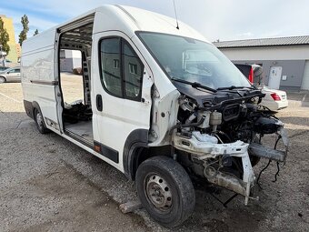 HOLÁ KASNA - boxer Jumper - 2