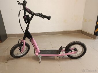 Kolobežka Nils extreme WH113N - 2