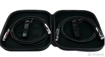 Audioquest Dragon SIlver 1m XLR - 2