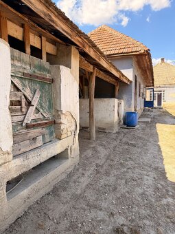 Martovce Pozemok / dom 🏘️ - 2