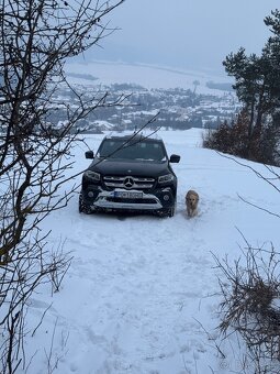 Mercedes-Benz X 350d 4MATIC - 2