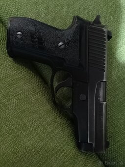 Sign Sauer 228 - 2
