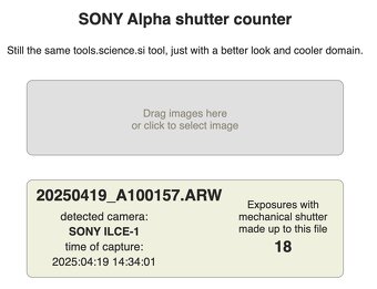 Sony A1 - 2