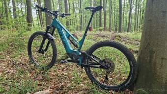 Kellys theos F50 - 2