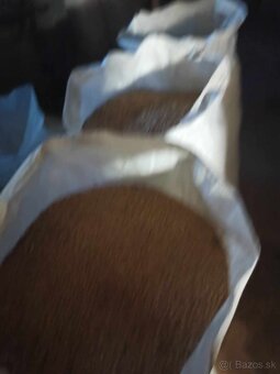 Predám sušenú pšenicu - 2