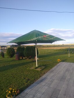 Pivný slnečník - 2
