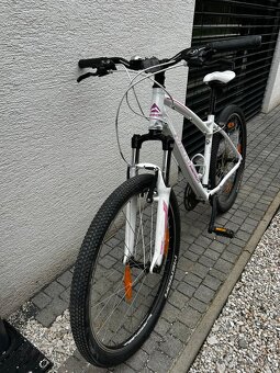 Dámsky bicykel - 2