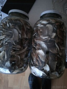 Sušené hríby,huby,kozáky - 2