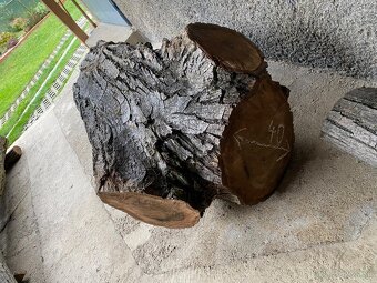 Orechové kmene, guľatina - 2