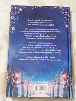 Jedného dňa v decembri - 2