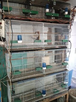 klietky pre drobotinu - 2