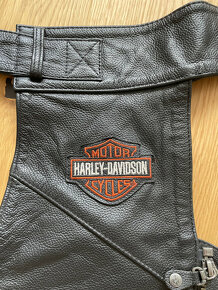 Kožené chapsy Harley Davidson - 2