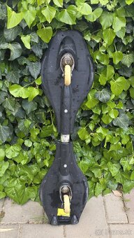 Waveboard/skateboard - 2