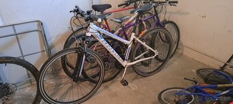 Dámsky bicykel - 2