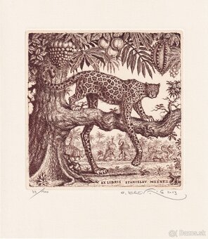 ex libris grafika Peter Klucik - 2